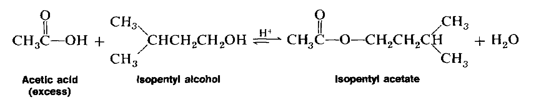 Synthesis Of Esters